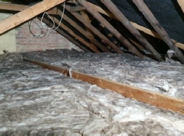 bird guano cleaning